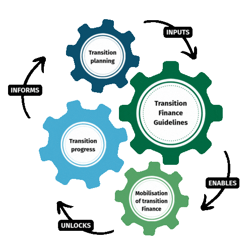 A diagram showing Guidelines aim to establish a continuous and reinforcing cycle between transition planning and the mobilisation of transition finance. A company’s transition planning acts as a foundational input for application of the Guidelines, which then facilitates the mobilisation of finance to support credible transition activities. This enables transition progress, which in turn generates insights that strengthen future transition planning and action.